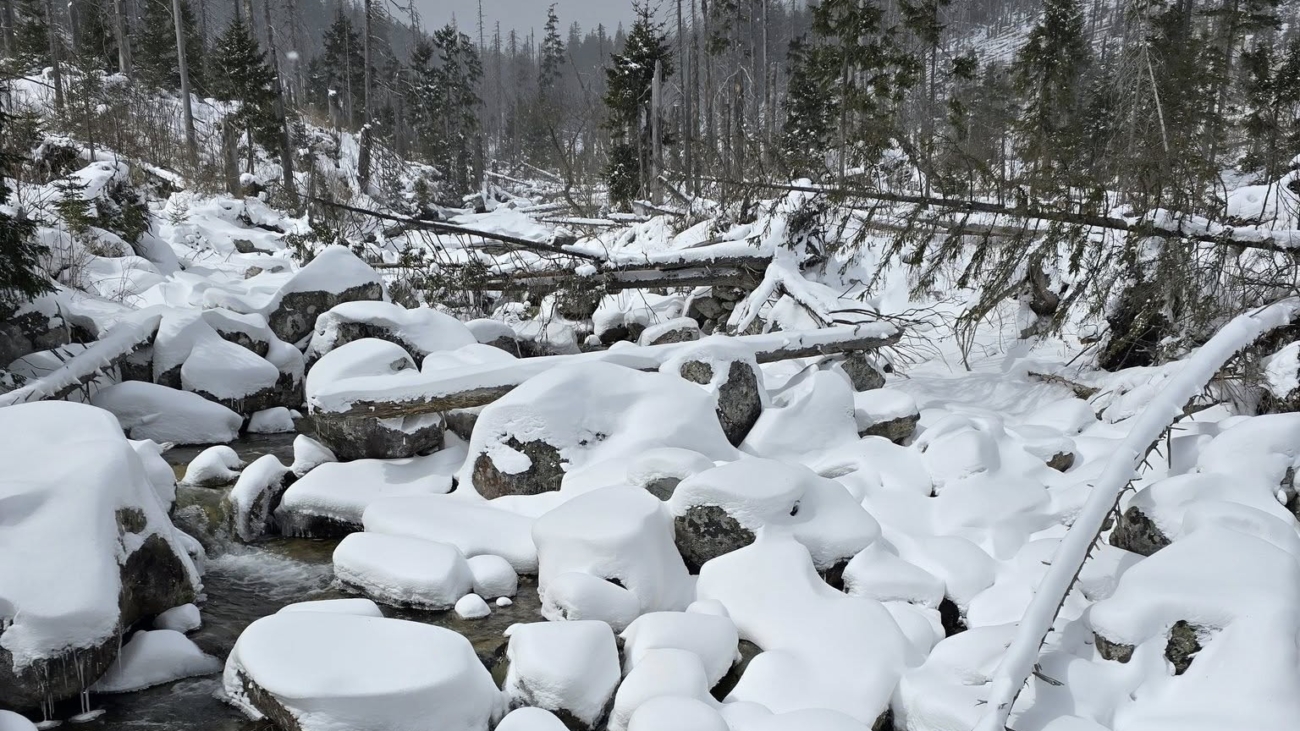 Živly ovplyvňujú prírodu i vzťah človeka k nej