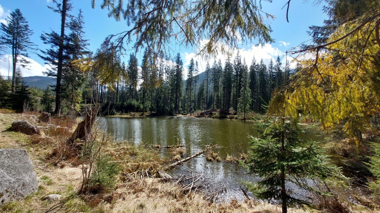Pleso pod Zverovkou je čarovné