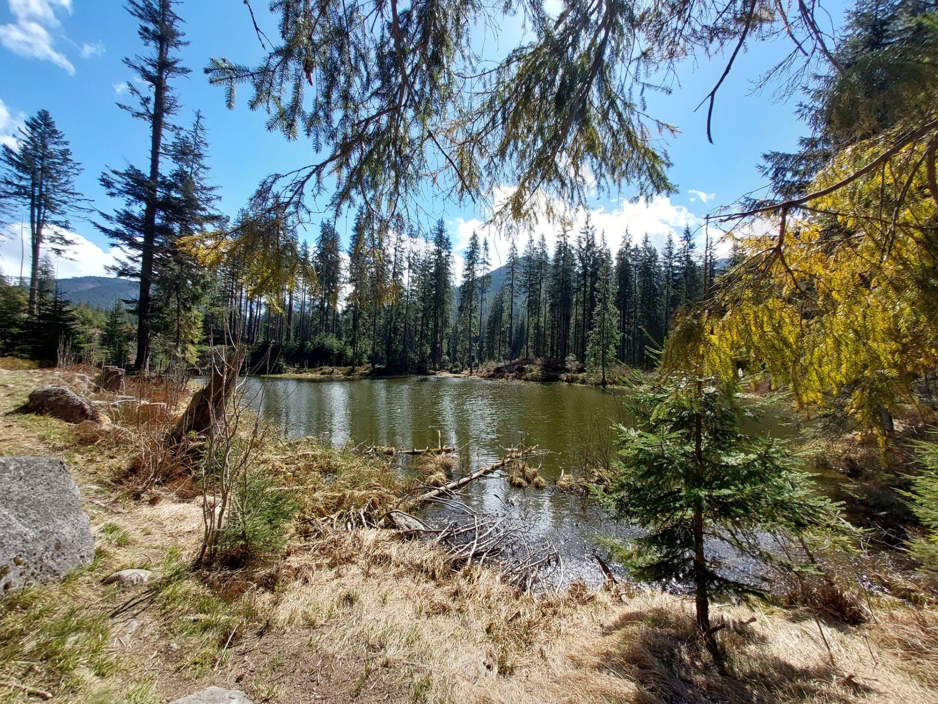 Pleso pod Zverovkou je čarovné