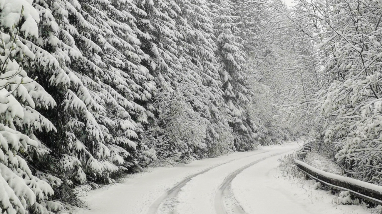 Roháčska dolina, Západné Tatry, 24. mája 2025. Foto: Nikolas Reguly.