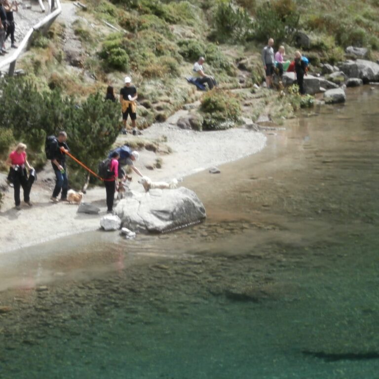 Už opustenie značeného chodníka je cez čiaru