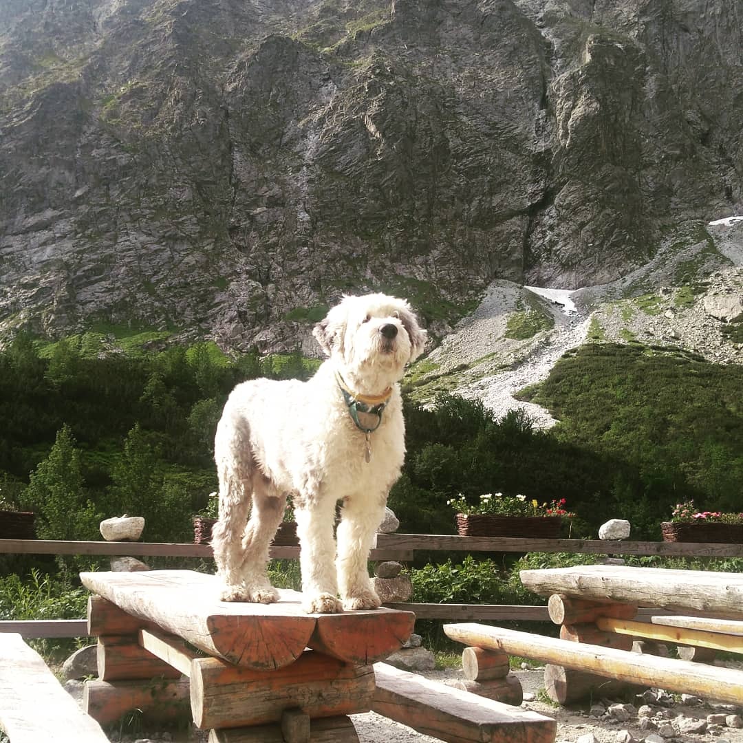 Na Zelenom plese. Foto: Ivana Šišoláková.