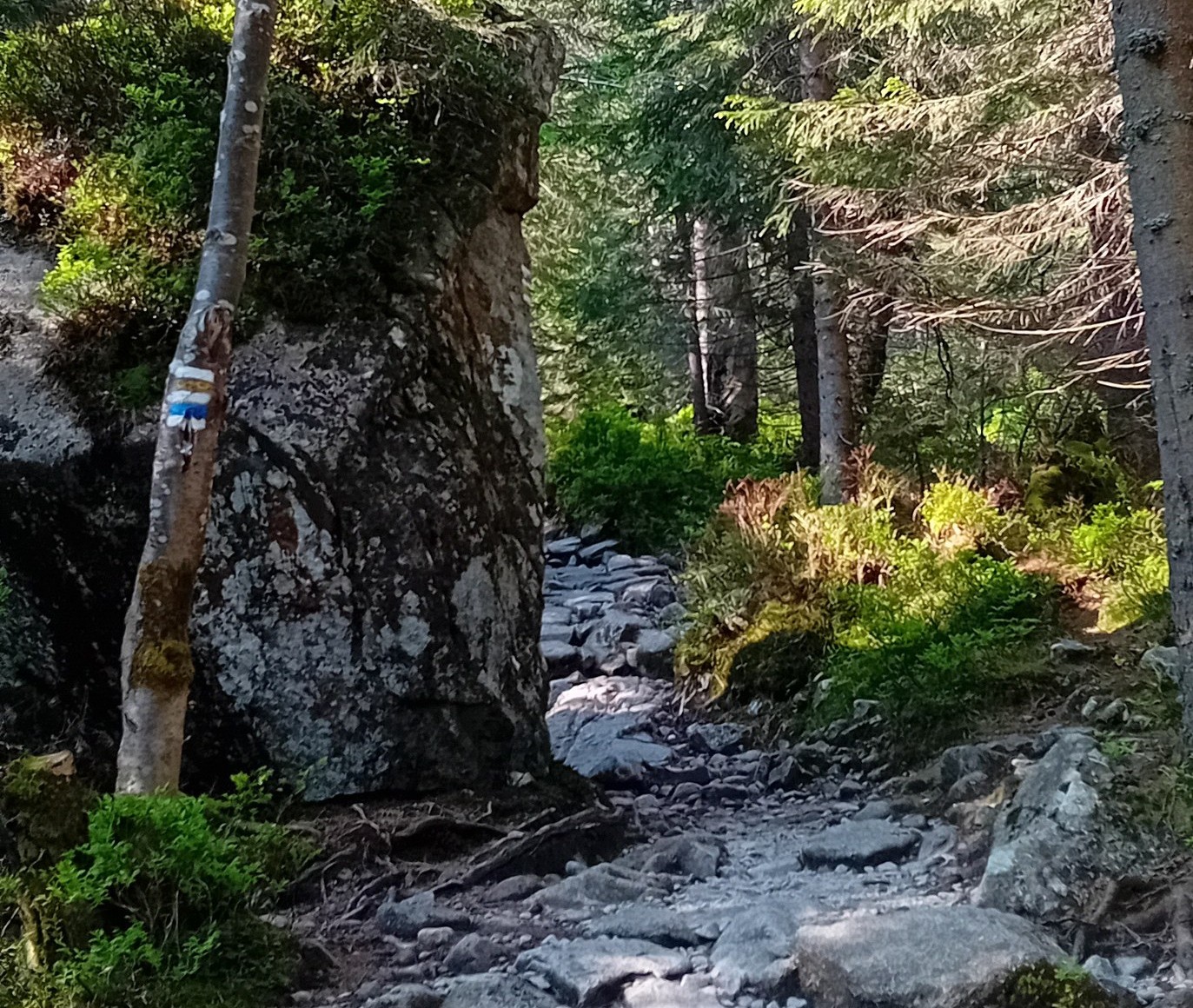 Chodník na Roháčske plesá