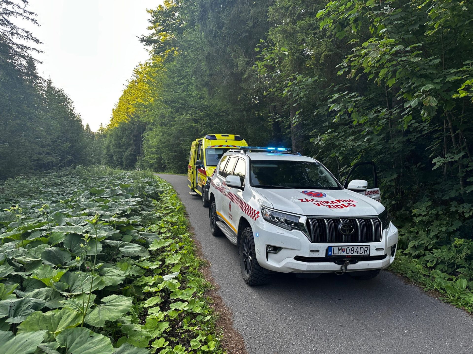 Cyklistovi už záchranári nevedeli pomôcť