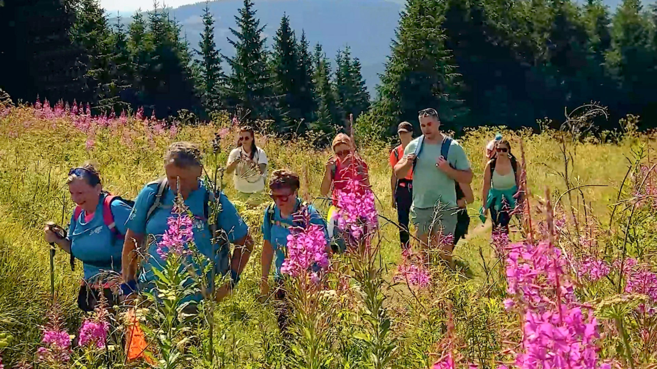 Vrbovka kvitla všade okolo nás a zafarbila krajinu na ružovo. Foto: Gabriela Kinčoková.