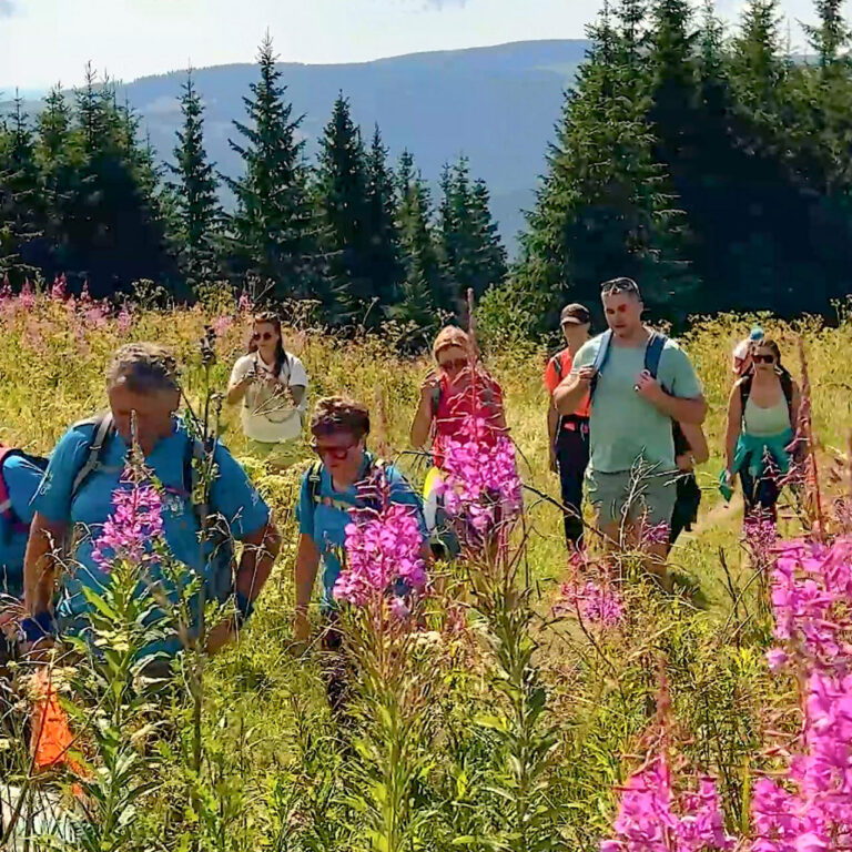 Vrbovka kvitla všade okolo nás a zafarbila krajinu na ružovo. Foto: Gabriela Kinčoková.