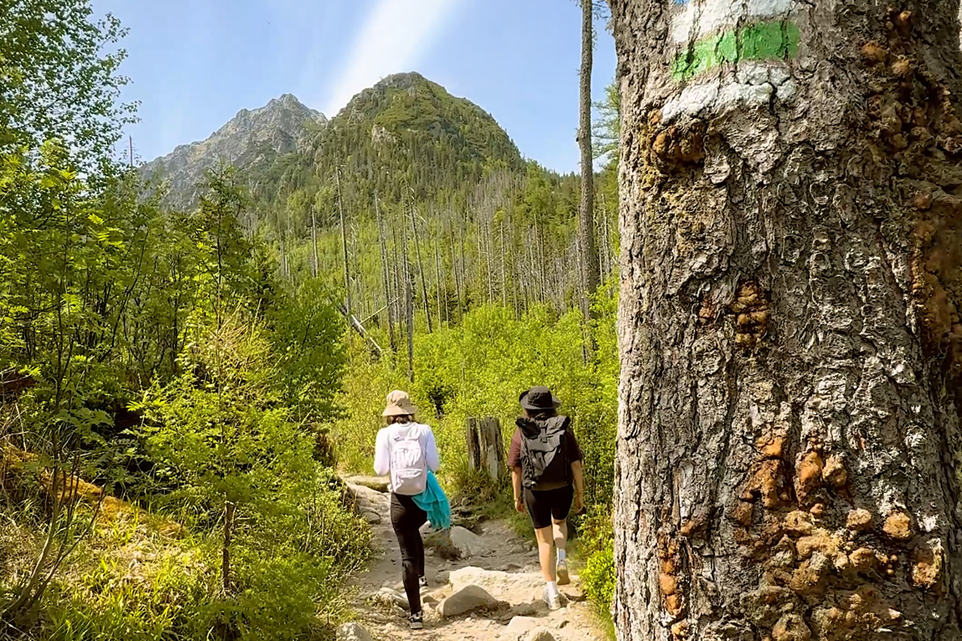 Cestou na Rainerovu chatu. Foto: Gabriela Kinčoková.
