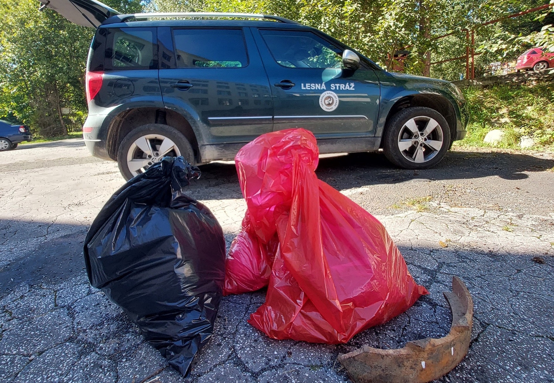 Odpad, ktorý vyzbierali dobrovoľníci počas akcie Čisté hory minulý rok. Foto: Facebook Správa TANAPu.