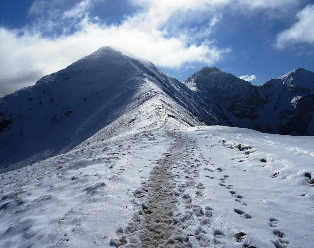 Hrebeňovka v Západných Tatrách. Foto: Alenka Tomanová.