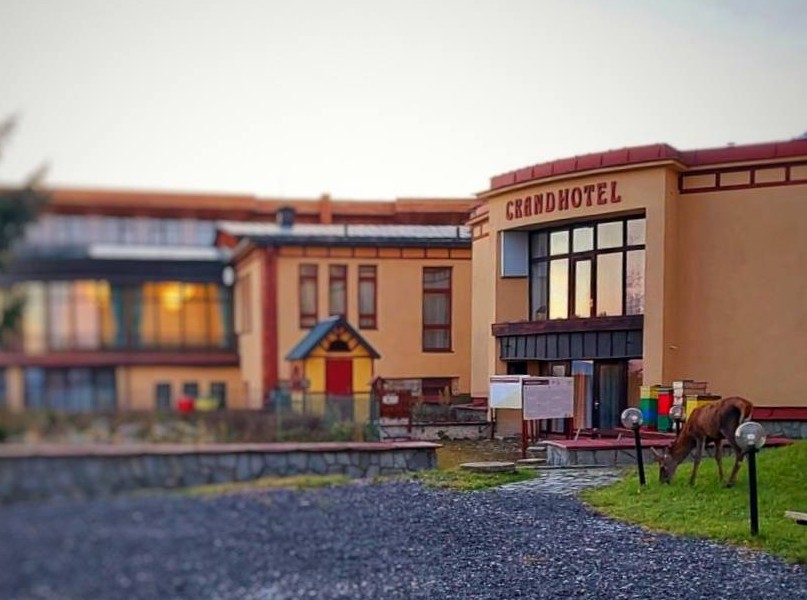 V blízkosti ľudí našiel jeleň dostatok potravy