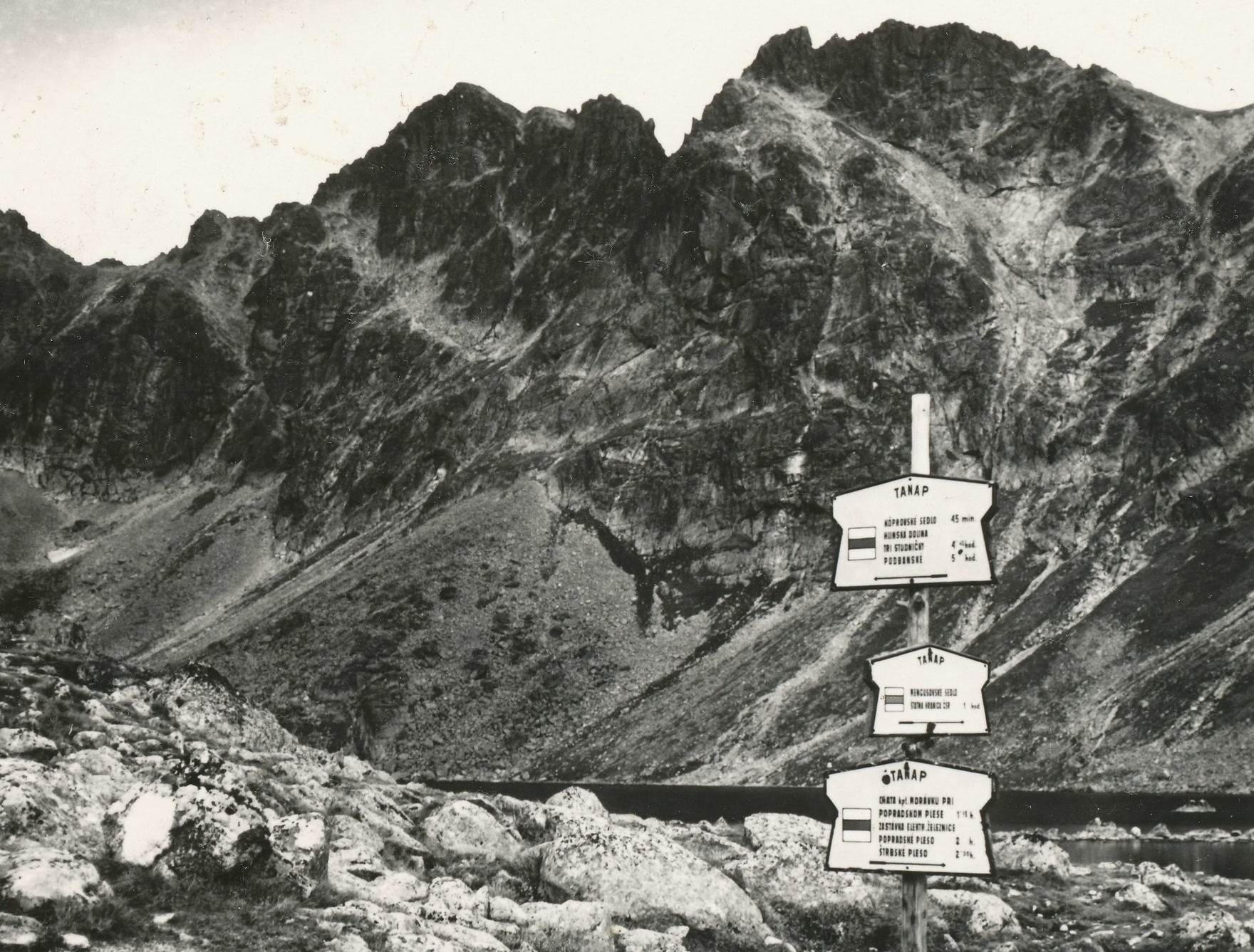 V Tatrách na vás čaká aj výstava fotografií tatranských rozchodníkov