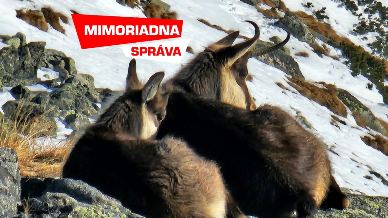 Pohoda pri Téryho chate