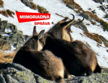 Pohoda pri Téryho chate