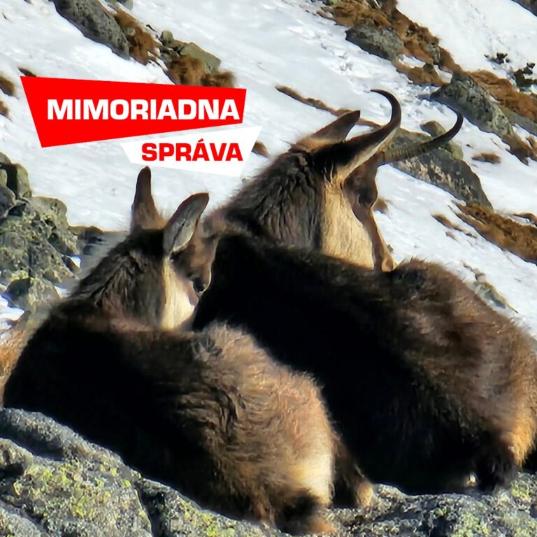 Pohoda pri Téryho chate