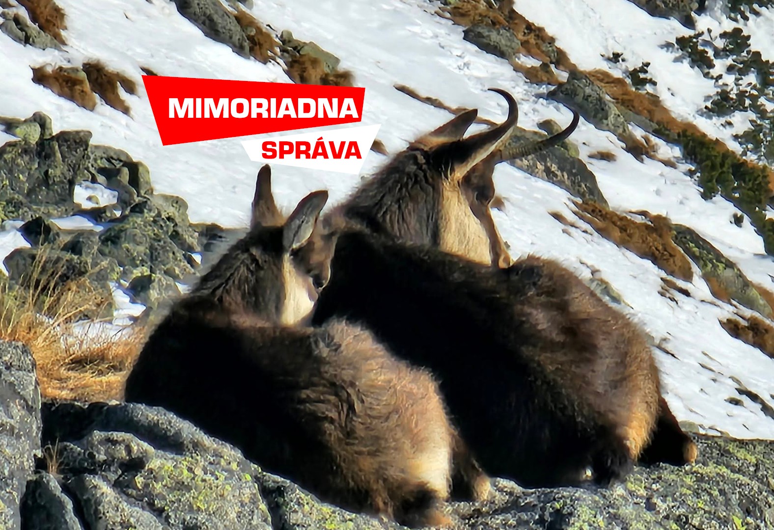 Pohoda pri Téryho chate