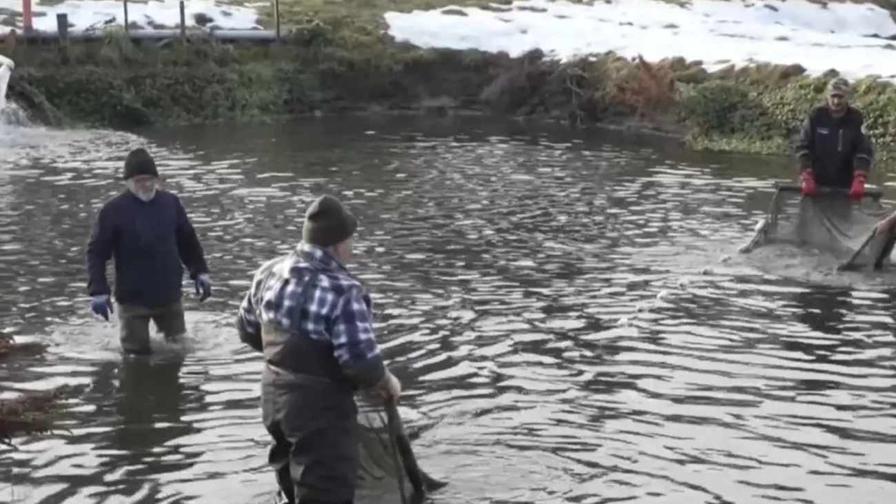 Výlov v rybníkoch TANAP-u