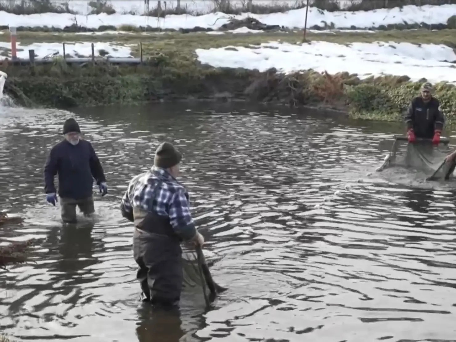 Výlov v rybníkoch TANAP-u