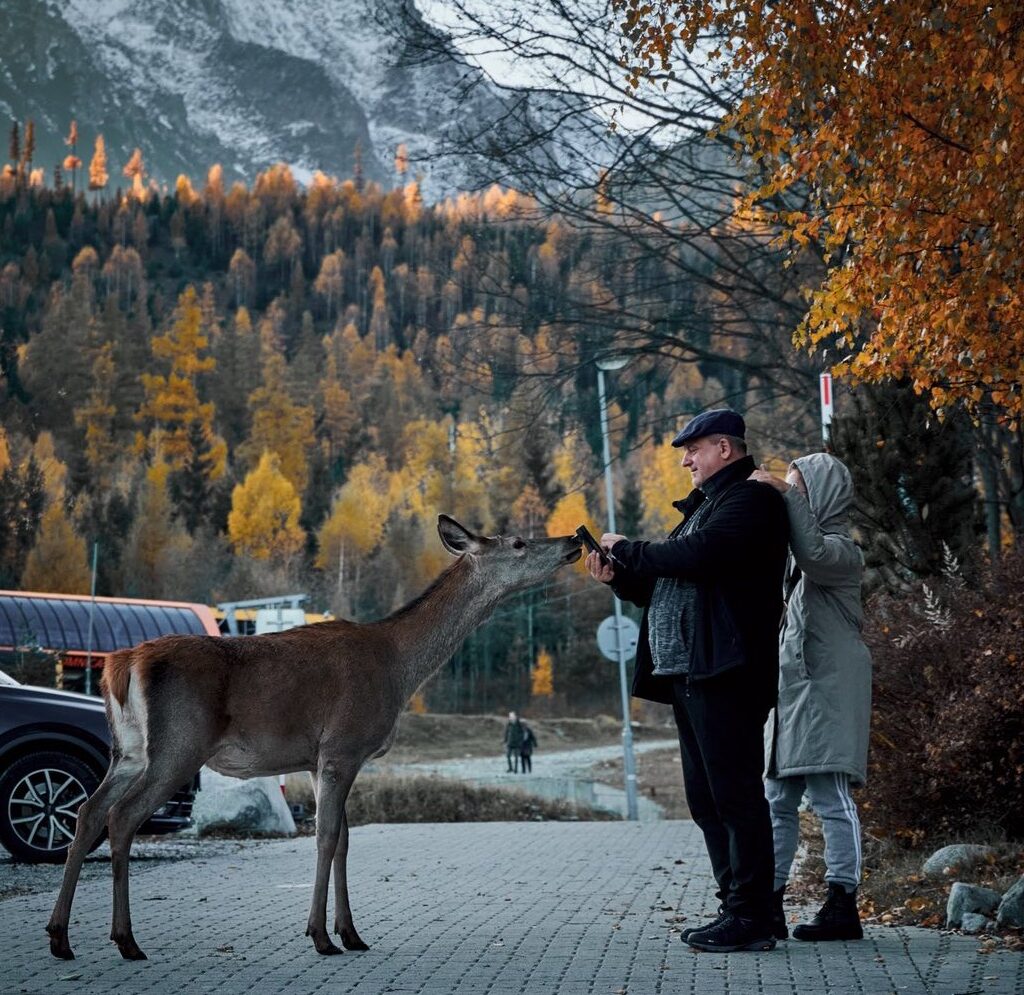 Je to nebezpečné - dotýkať sa divých zvierat počas prechádzky