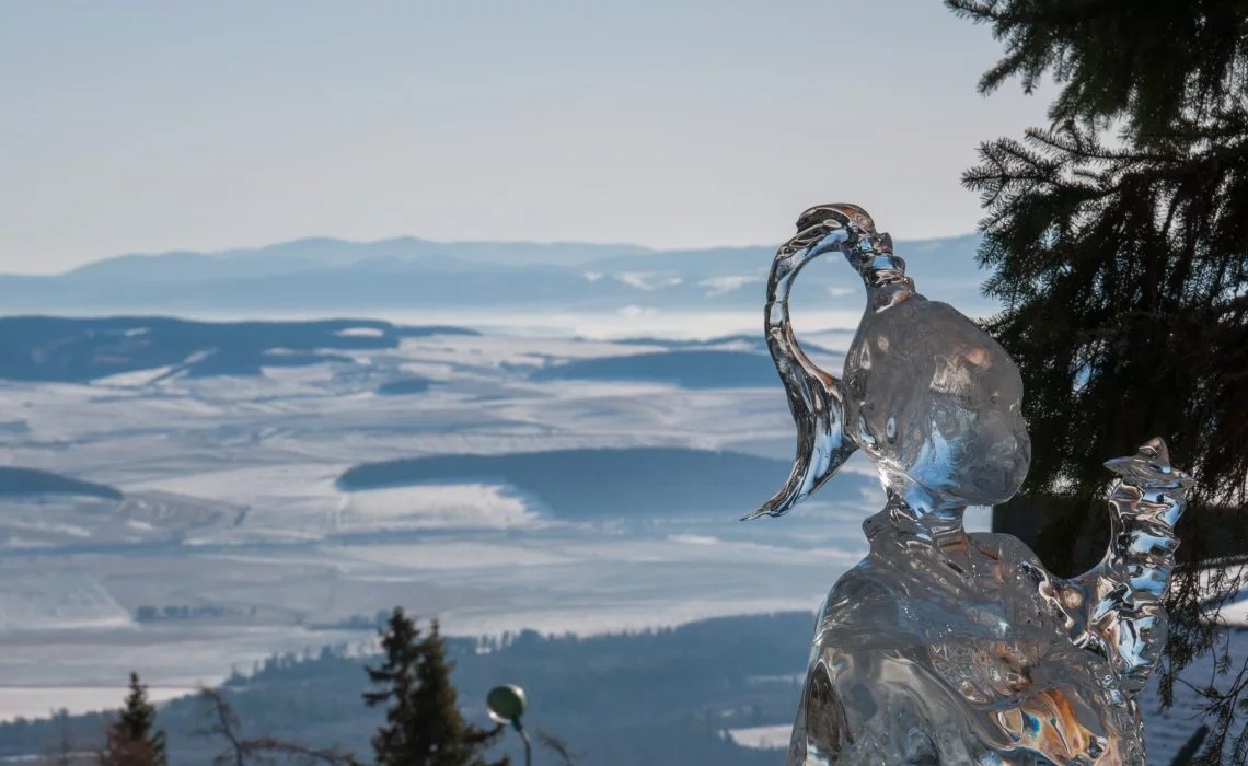 Z archívu tvorby ľadových sochárov