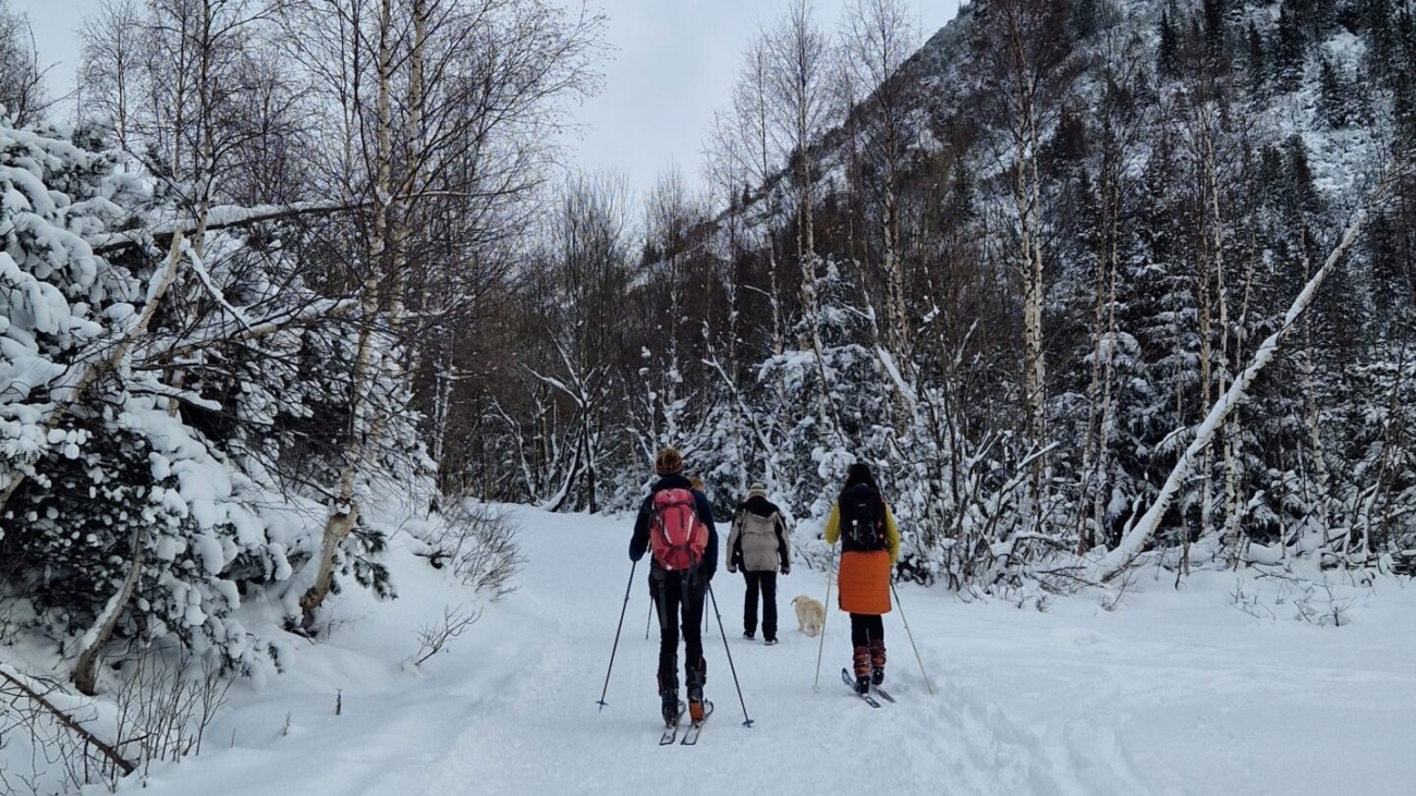 Na Žiarsku chatu po snehu na lyžiach