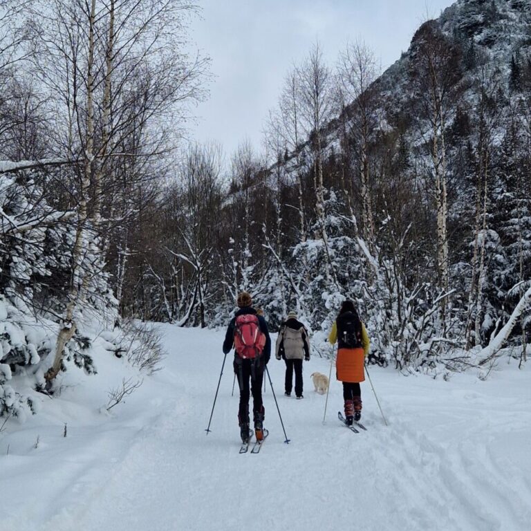 Na Žiarsku chatu po snehu na lyžiach