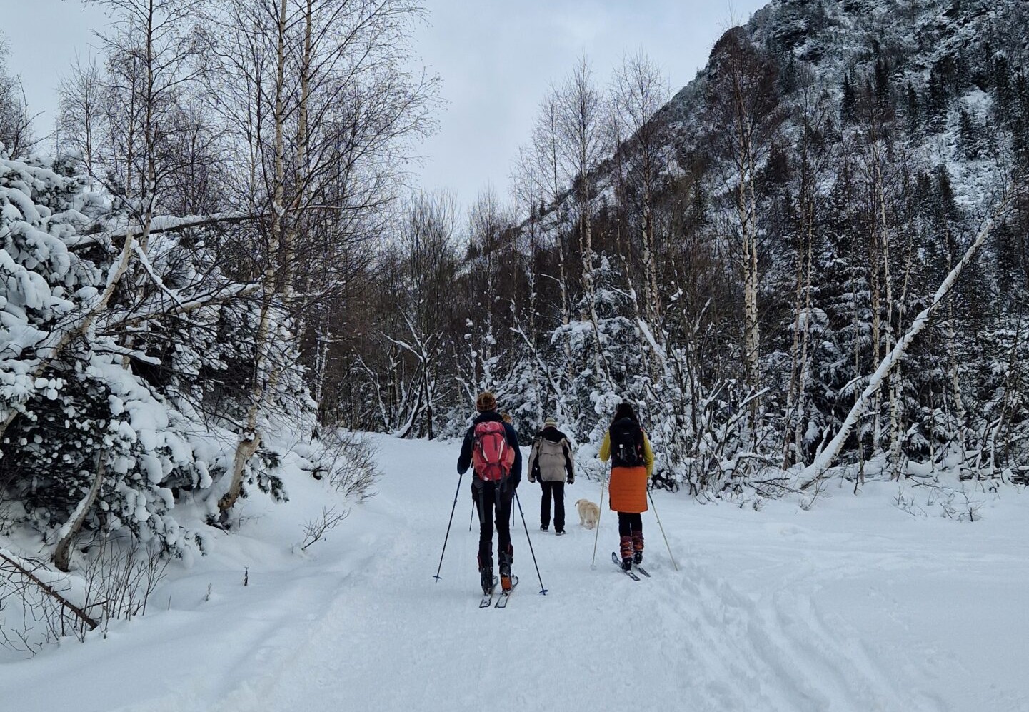 Na Žiarsku chatu po snehu na lyžiach