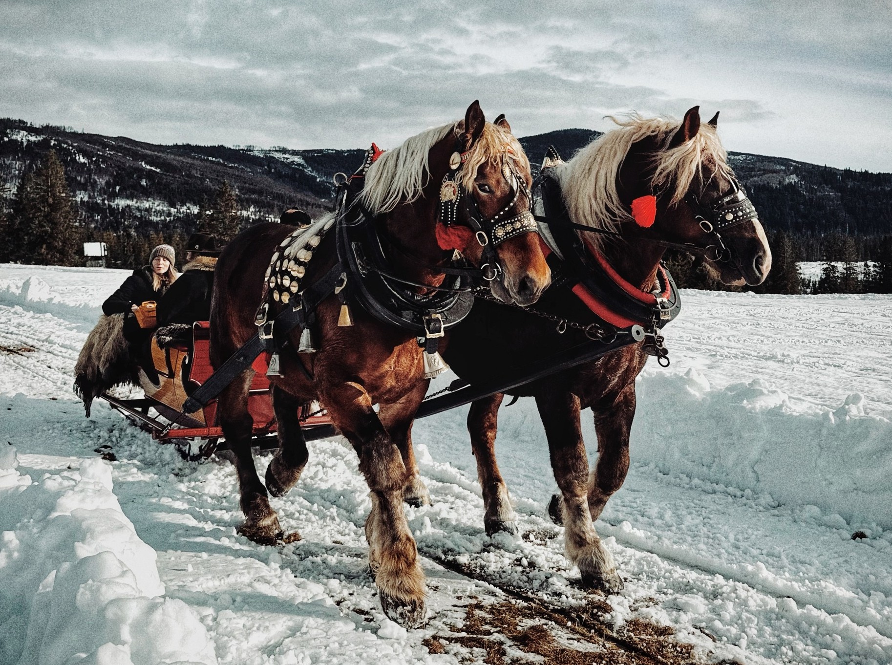 Zážitková jazda do Zvernice