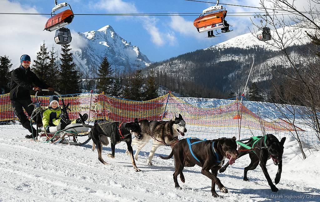 Podujatia Snežné psy je každoročne veľkou atrakciou