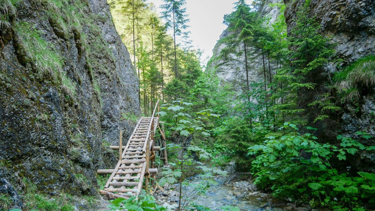 Juráňova dolina je známa svojimi lávkami a technickými pomôckami. Foto: Správa TANAPu.