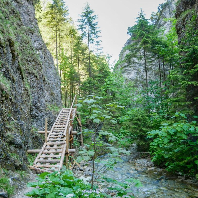 Juráňova dolina je známa svojimi lávkami a technickými pomôckami. Foto: Správa TANAPu.