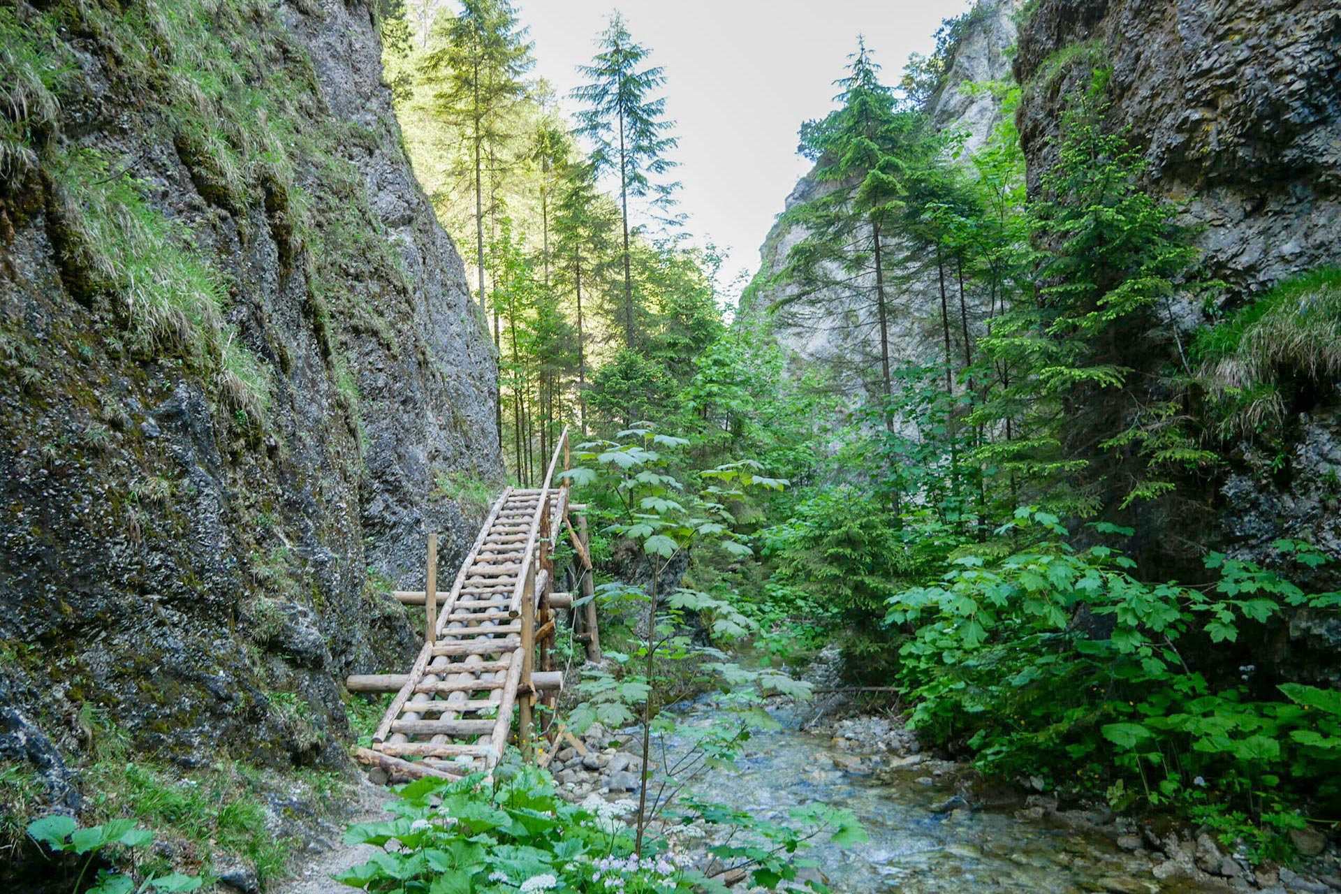 Juráňova dolina je známa svojimi lávkami a technickými pomôckami. Foto: Správa TANAPu.