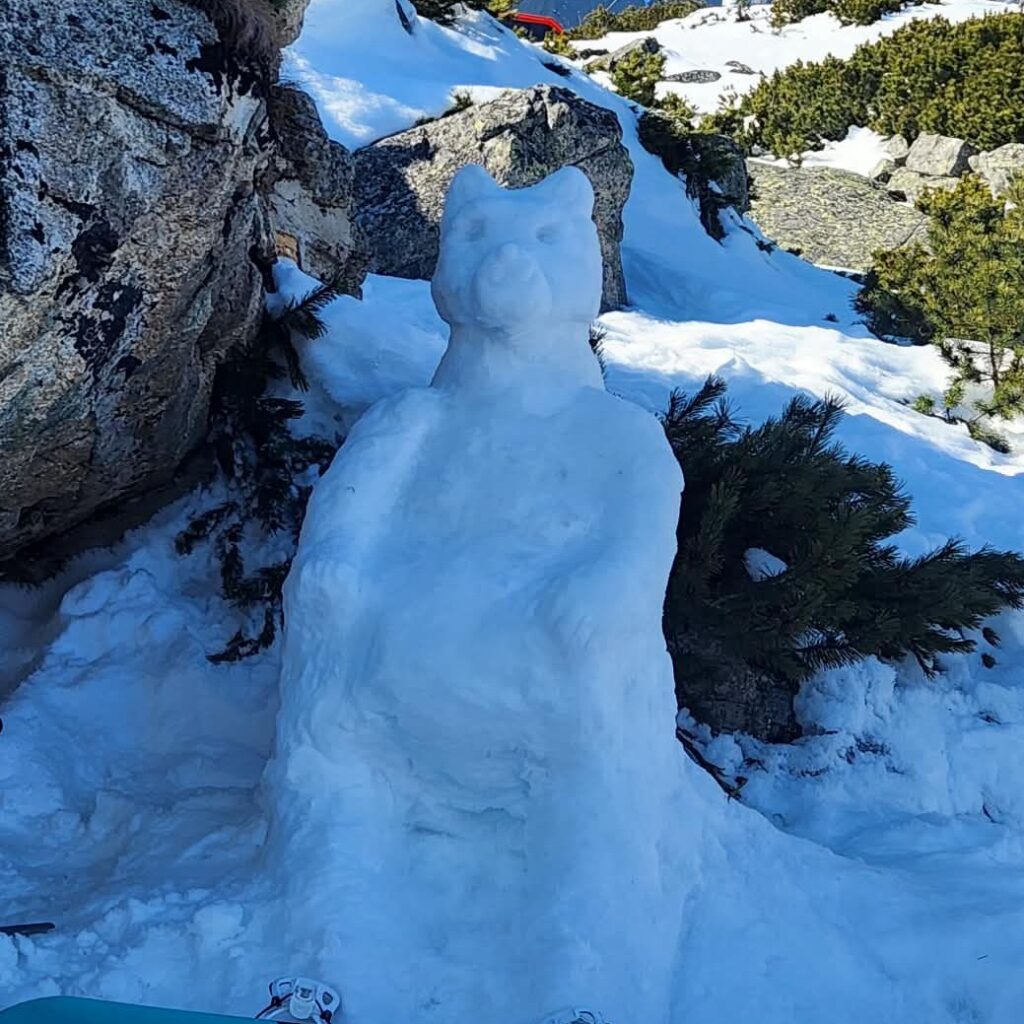 Návrat medveďov na chatu od Amade Pal Balaž sa najviac páčil porote