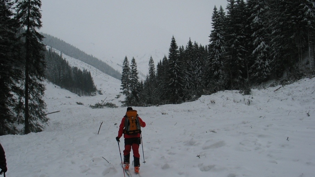 Spodná časť nánosu lavíny deň potom, ako zasypala dolinu