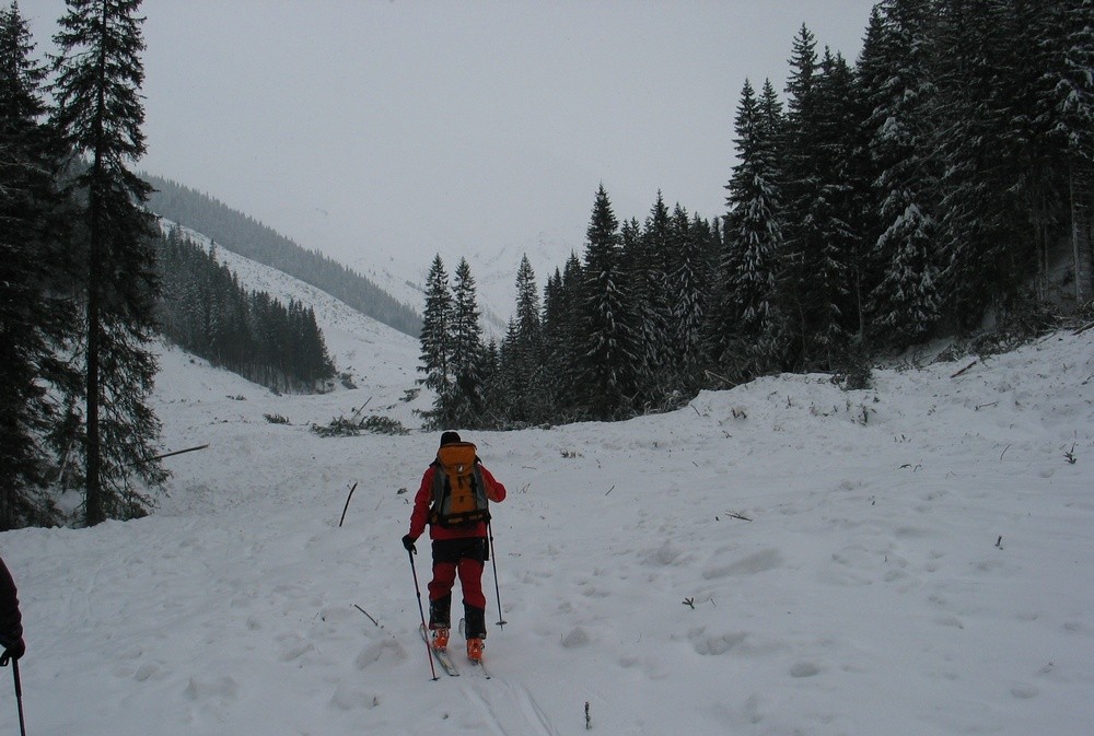 Spodná časť nánosu lavíny deň potom, ako zasypala dolinu