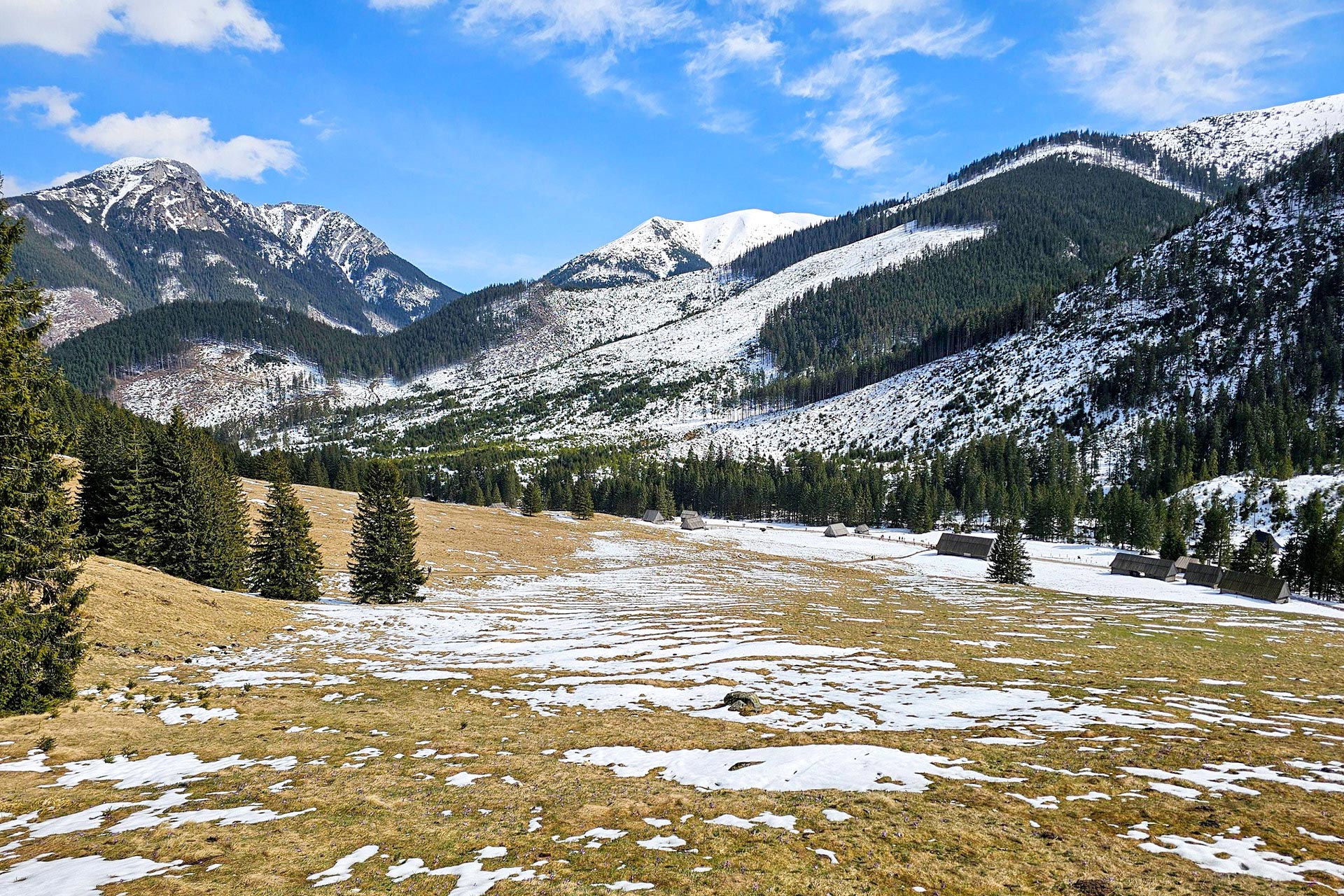 Lúky Polany Chochlovskej. Foto: Peter Tobis.