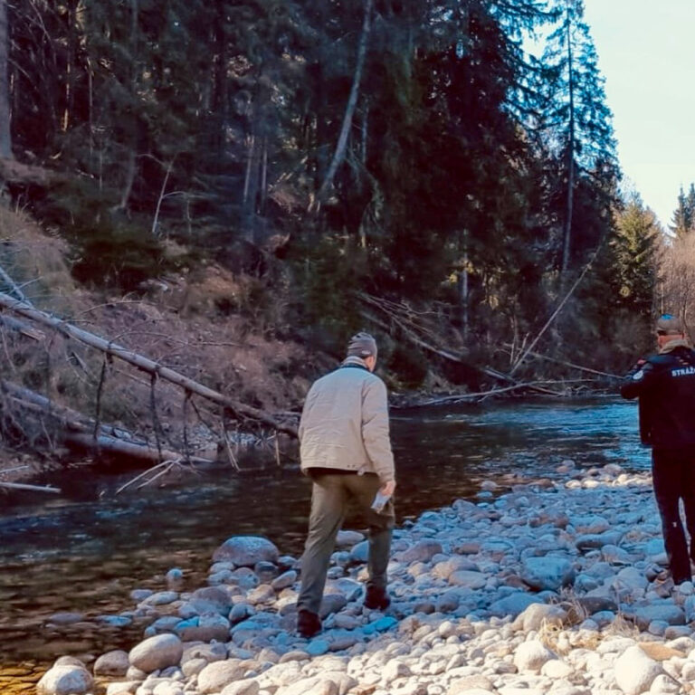 Strážcovia prírody kontrolujú okolie rieky Belá. Foto: Správa Tatranského národného parku.