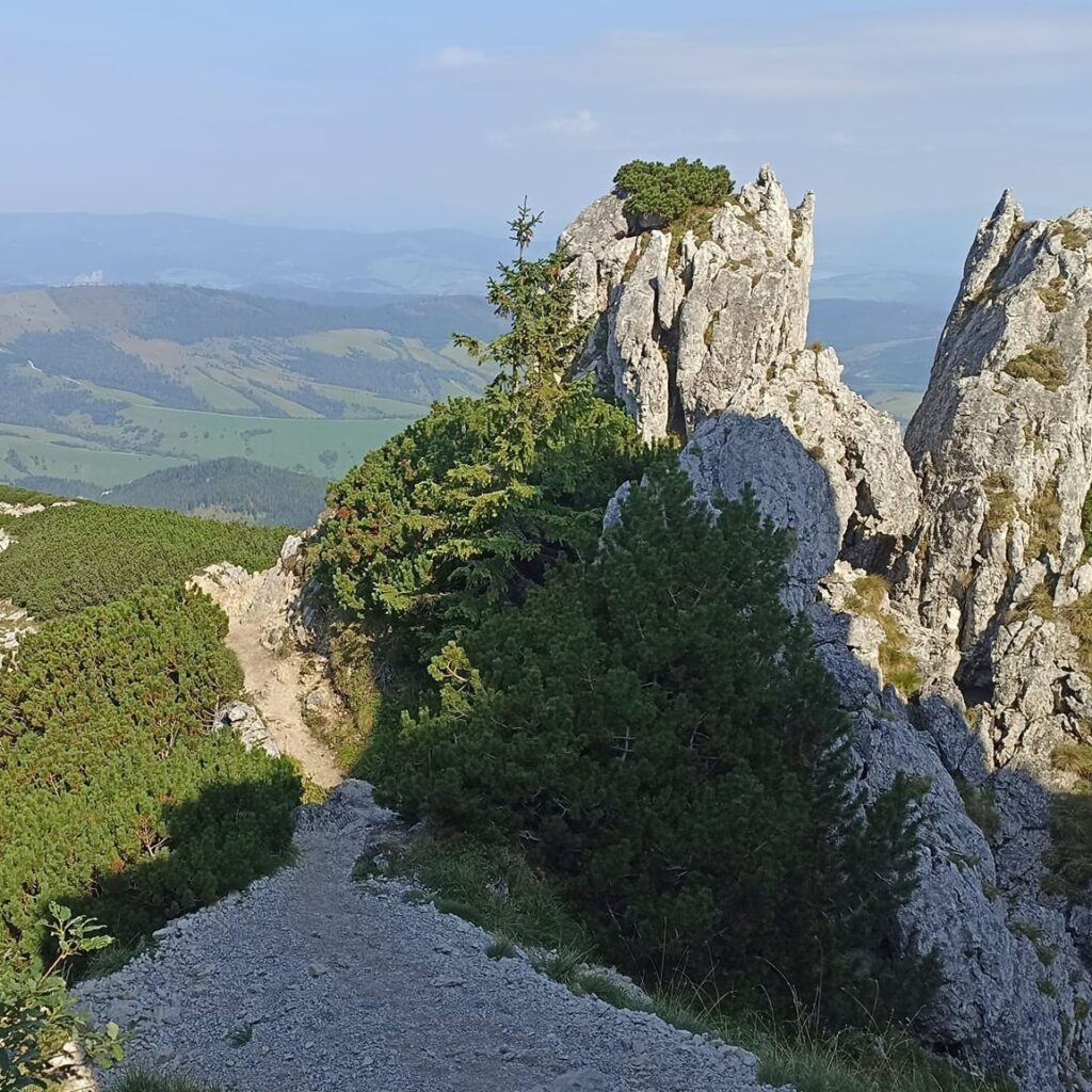 Čarovná túra na Sivý vrch