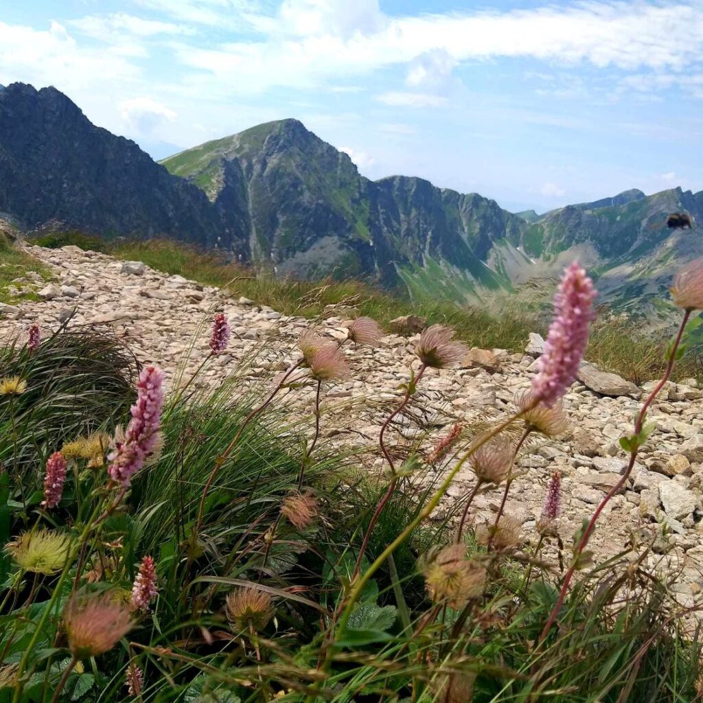 Sedlo Zábrať aj s okruhom na Volovec