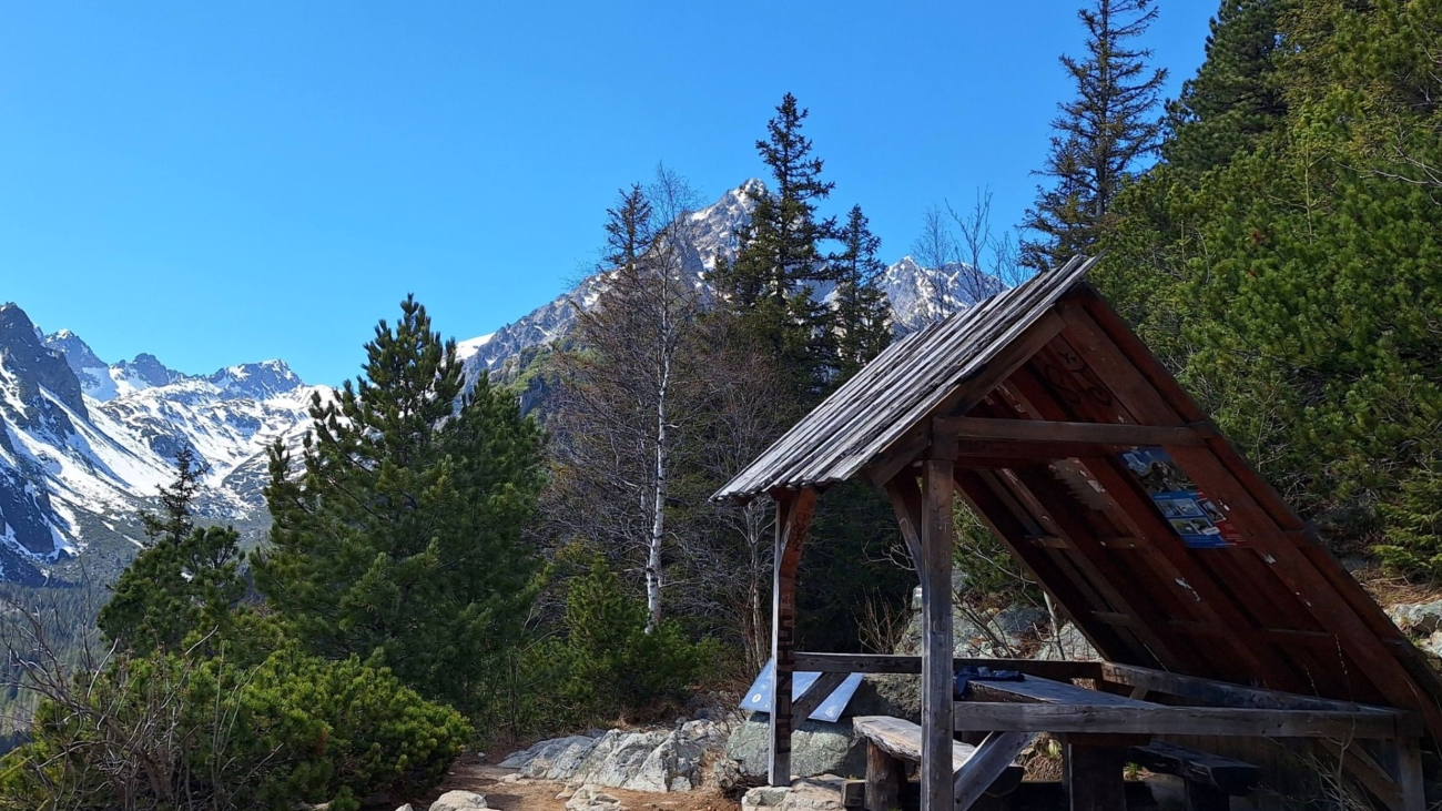 Cestou na Skalnaté Pleso