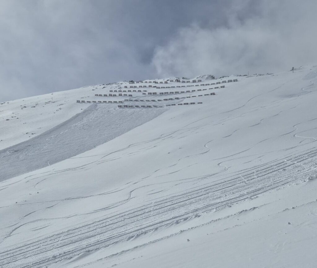 Pole s lavínami v Žiarskej doline