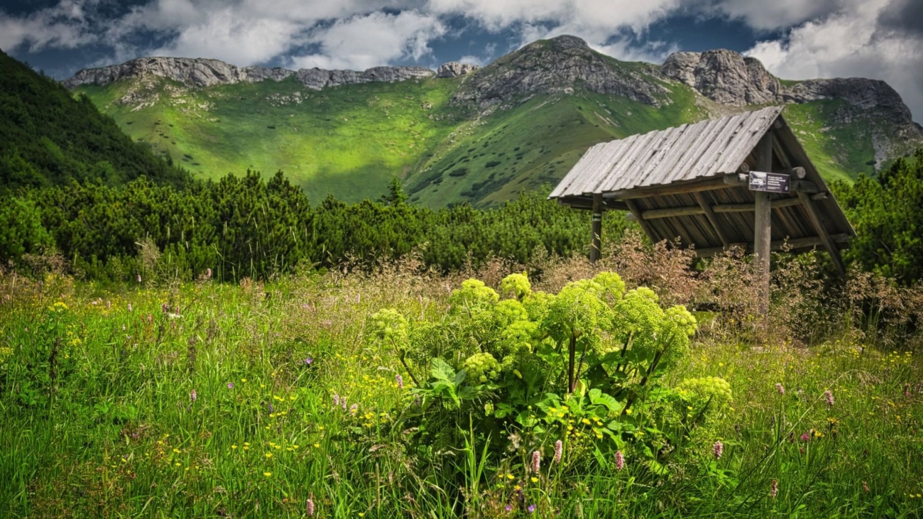 Belianske Tatry