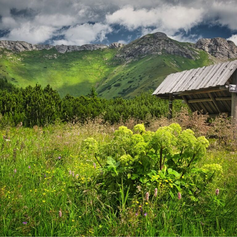 Belianske Tatry