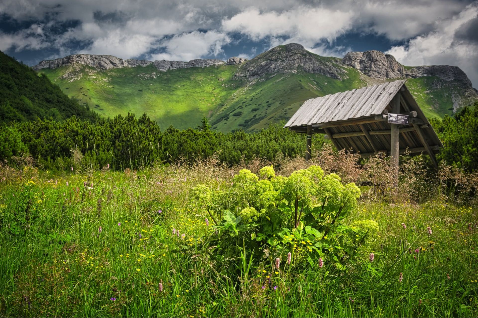 Belianske Tatry