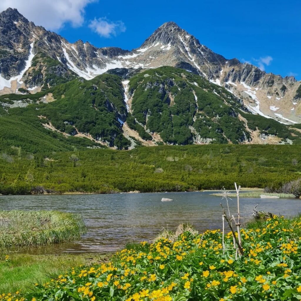 Zelené pleso