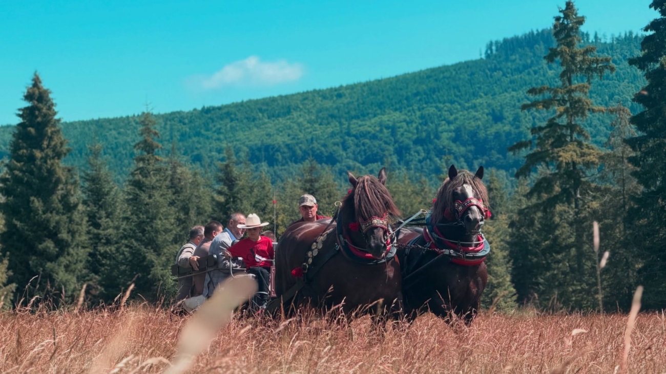 Romantika, nostalgia, krása - také sú nočné jazdy v národnom parku