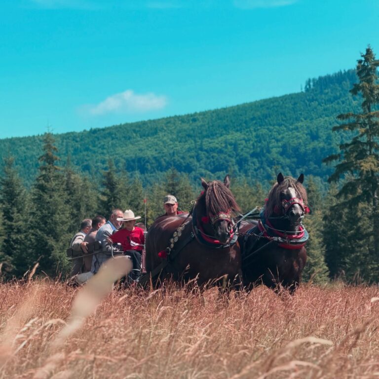 Romantika, nostalgia, krása - také sú nočné jazdy v národnom parku