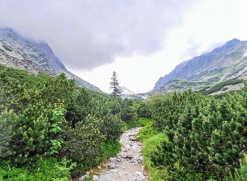 Práce na chodníku v Mlynickej doline majú viesť k lepšej bezpečnosti turistov