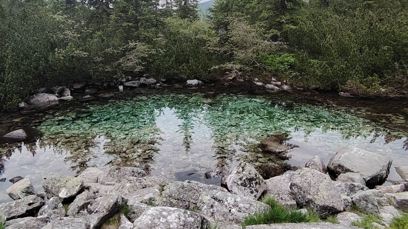 Roháčske plesá