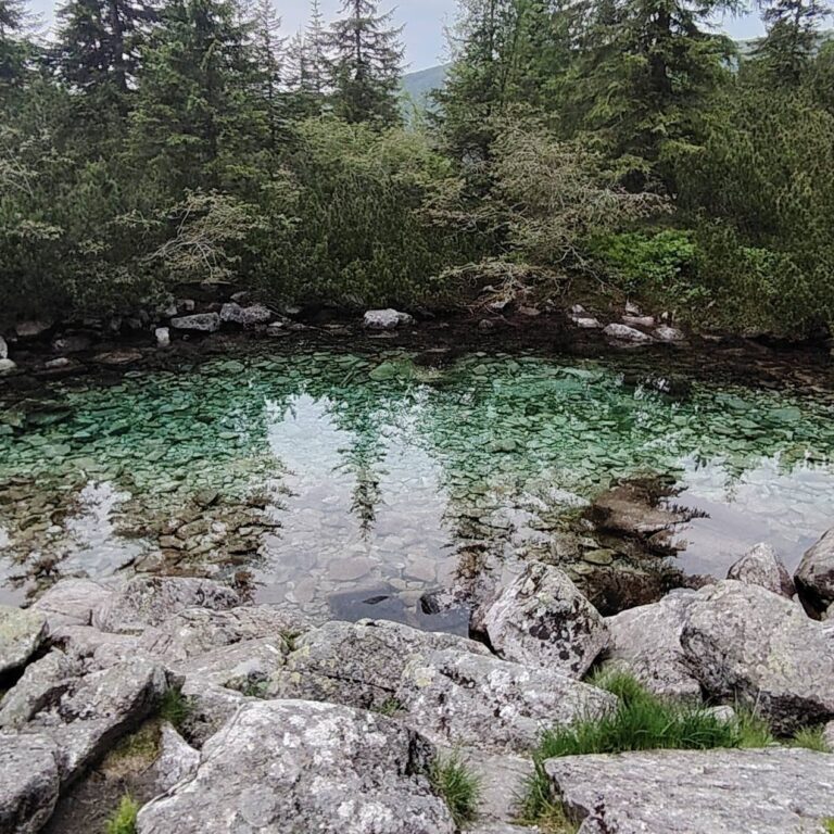 Roháčske plesá