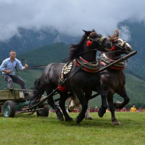 V nedeľu bude Ždiarska podkova